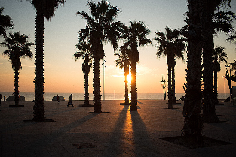Barceloneta Morning